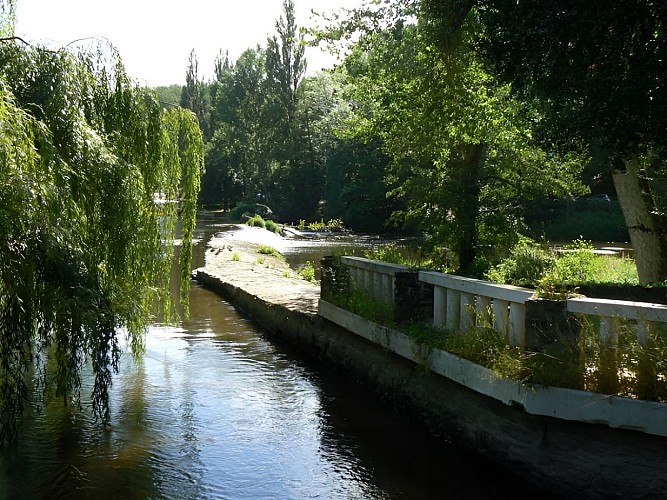 Gite du Moulin du Vey à Clécy, les bords de l'Orne
