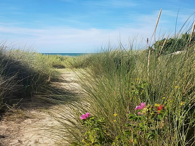 douchin-dunes-courseulles