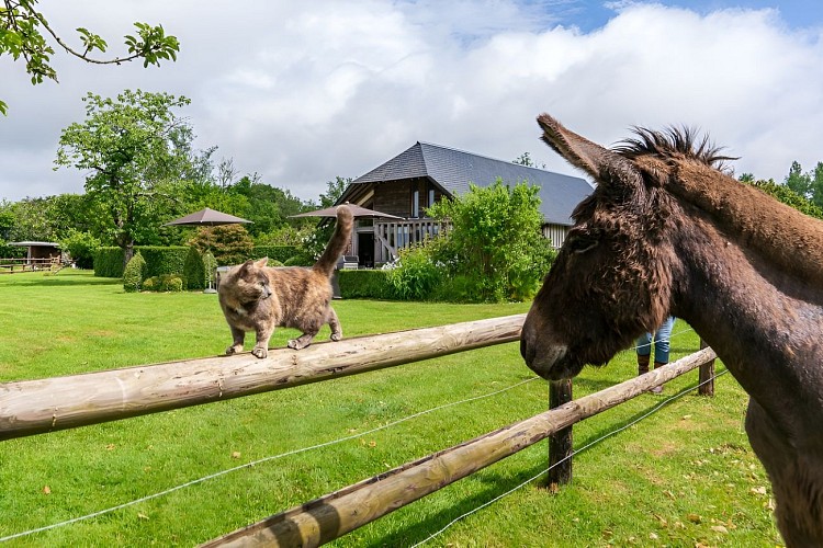 _Vie-de-cocagne-a-la-carte-Fou2022---_BAB6943