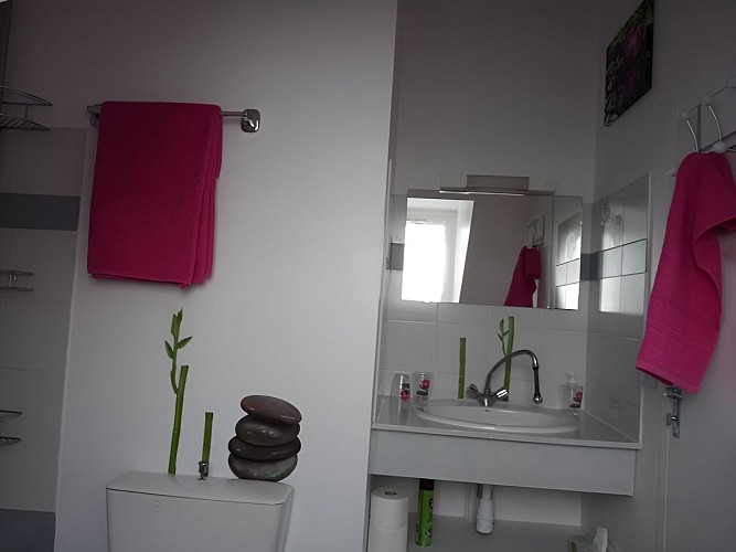 Gîte les Moulières à Honfleur, salle d'eau