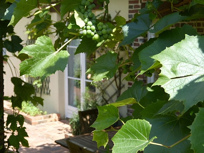 BRARD Photo 4 pergola