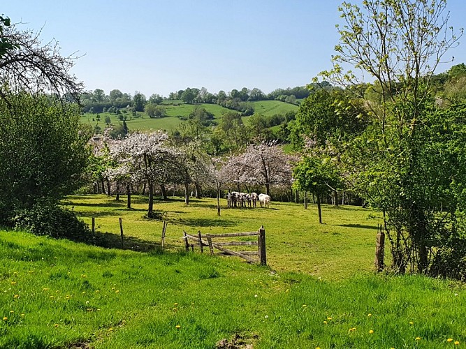 Ferme de la vallée au tanneur