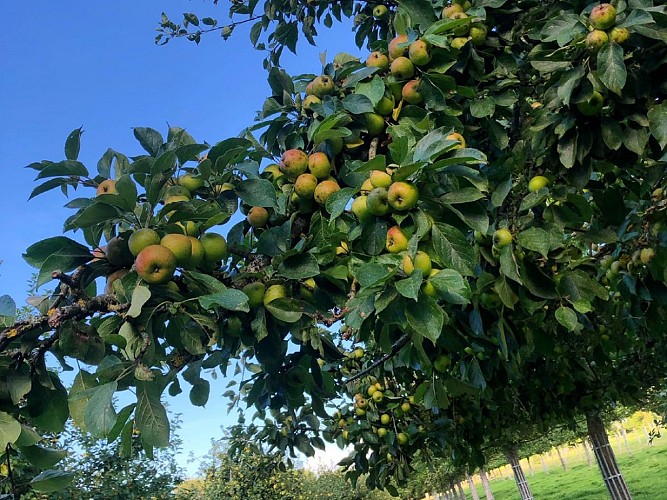 078FDD54-B00E-4A53-9137-796B20B8731C.jpgnew