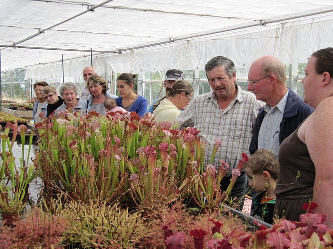 eden carnivore villers bocage 7