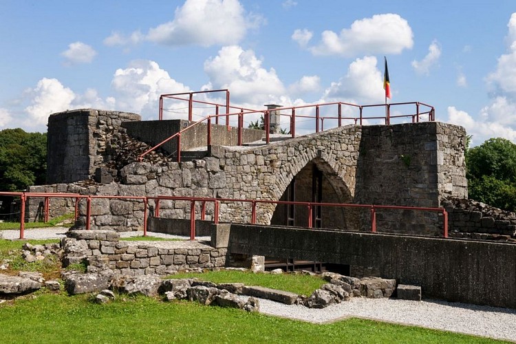 Les ruines du château comtal