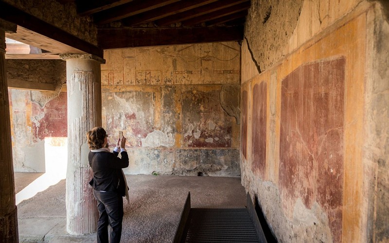 Pompeii and Mt. Vesuvius Volcano Day Trip from Rome