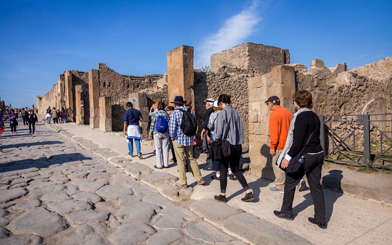 Pompeii and Mt. Vesuvius Volcano Day Trip from Rome
