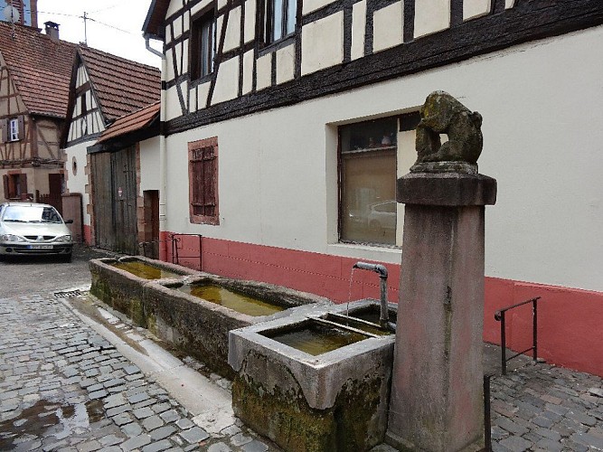 La fontaine du Bärebrunne