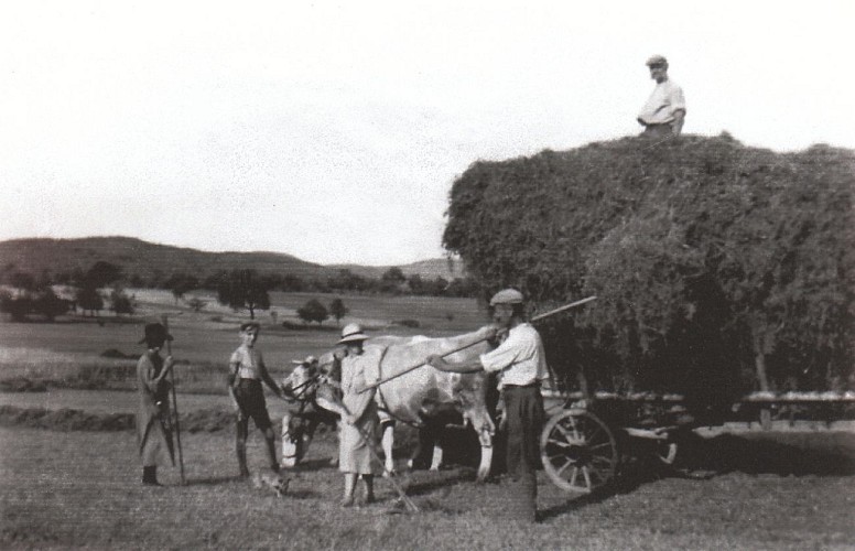 L'agriculture à Weinbourg