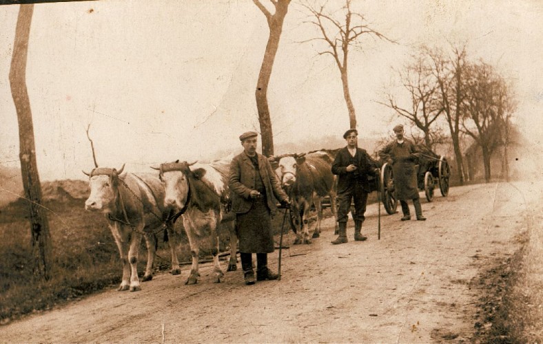 L'agriculture à Weinbourg