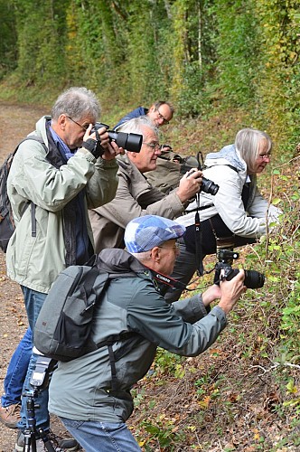 Initiation macrophoto