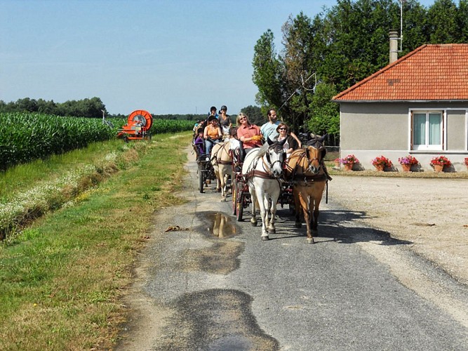 (1)balade-equestre-attelage-plaisir-feings