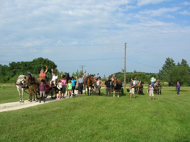 (5)balade-equestre-attelage-plaisir-feings