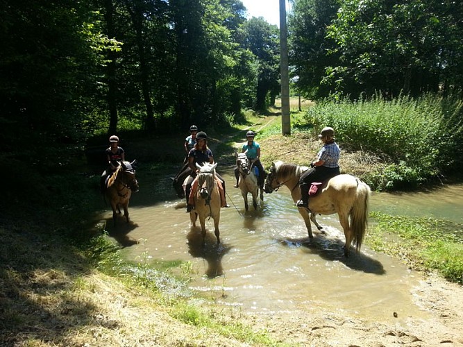 Attelage-plaisirs-feings©Attelage-Plaisirs05