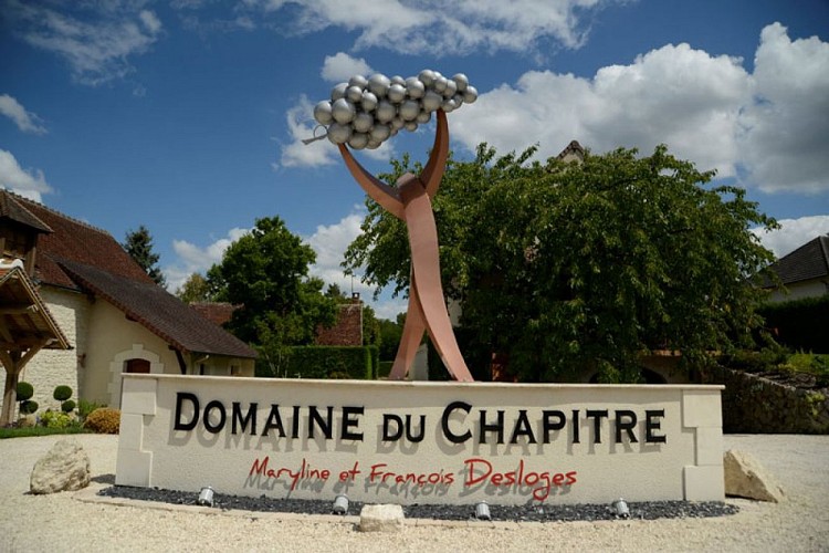 Domaine-du-Chapitre-Saint-Romain-sur-Cher©Domaine-du-Chapitre