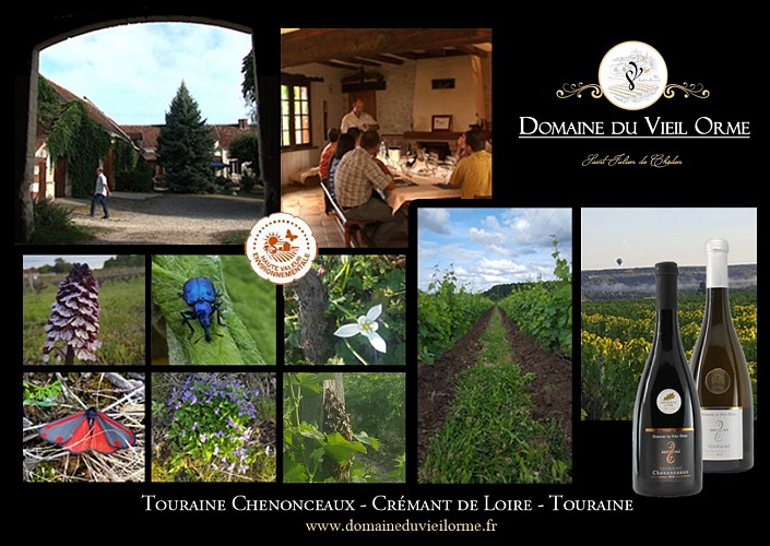 Domaine du Vieil Orme