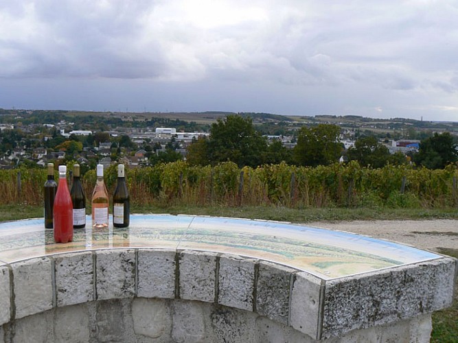 vignoble-pentes-des-coutis-vendome