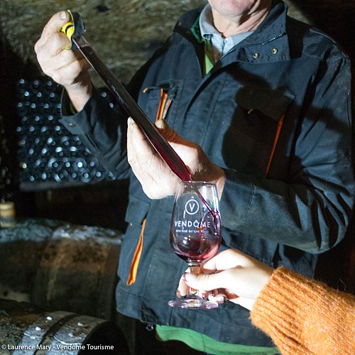 Cave de la Berthelotière à Villiers-sur-Loir