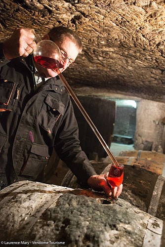 Cave de la Berthelotière à Villiers-sur-Loir