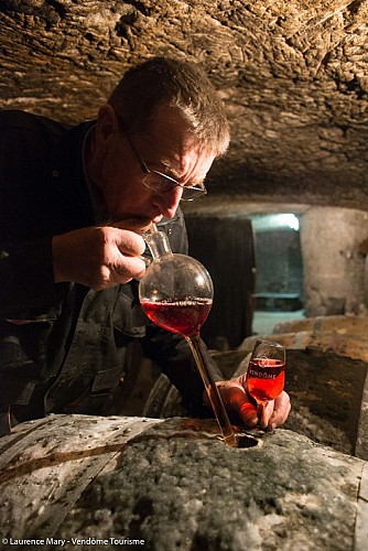 Cave de la Berthelotière à Villiers-sur-Loir