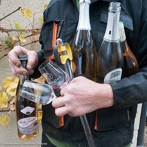 Cave de la Berthelotière à Villiers-sur-Loir