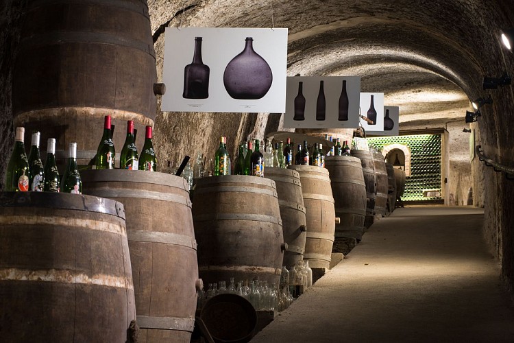 Cabinet-de-Curiosités