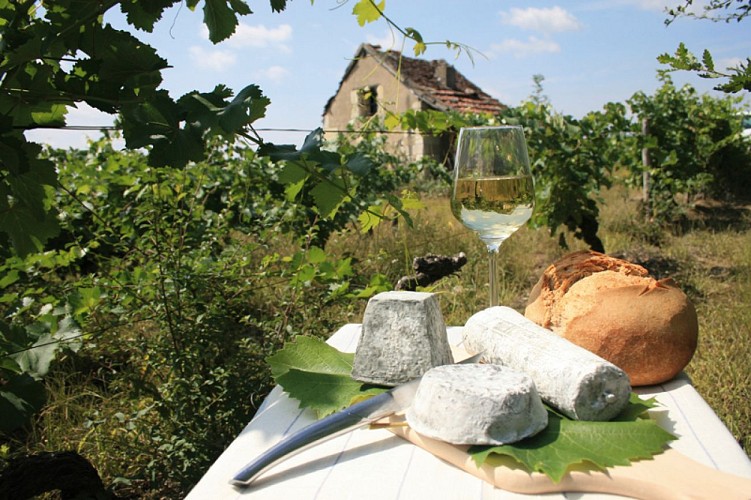 (3)loge-de-vigne-et-fromage-festivigne