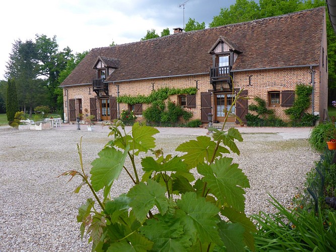 Chambres d'hôtes Le Grand Soupeau à Neung-sur-Beuvron en Sologne