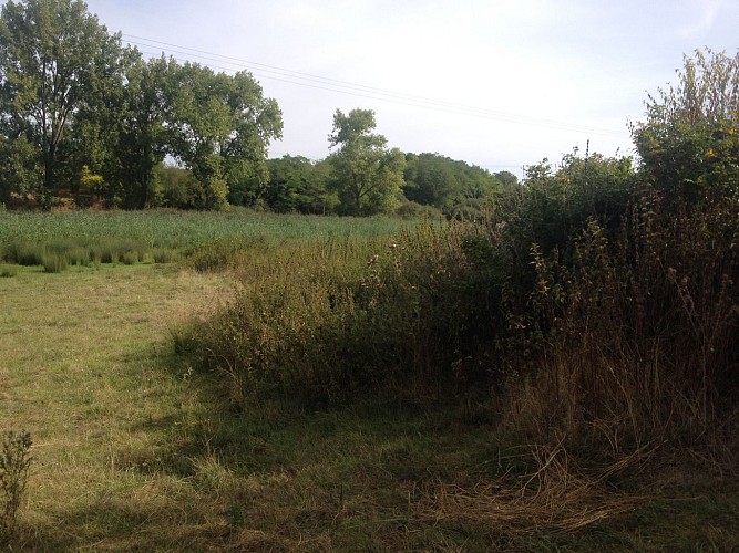 Vallée de la Sixtre