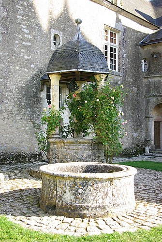 Puit-Chateau-de-Talcy-Thierry-Savoir-ADT41