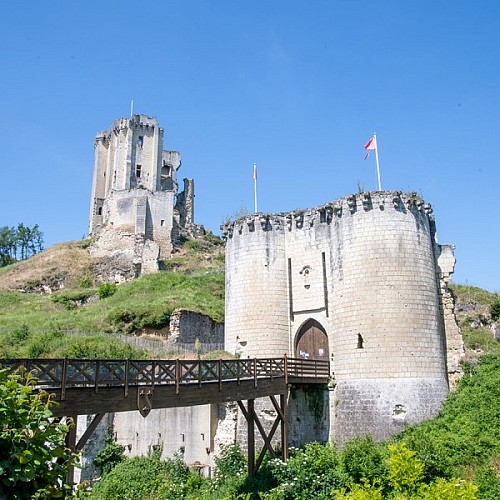 Ruines-du-Chateau-de-Lavardin