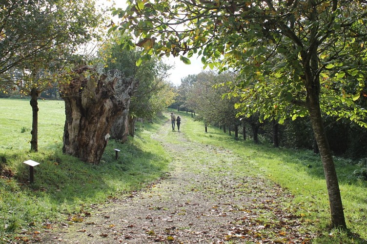 MaisonBotanique-Chemin-des-Trognes-Boursay
