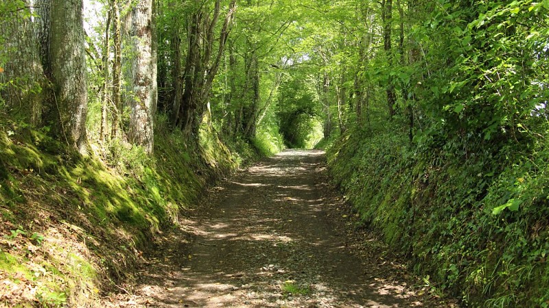 MaisonBotanique-Chemin-botanique