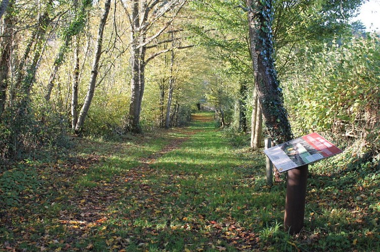 MaisonBotanique-Chemin-botanique-Boursay