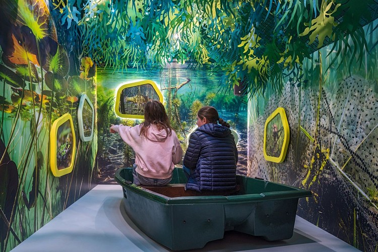 Maison des étangs (2)