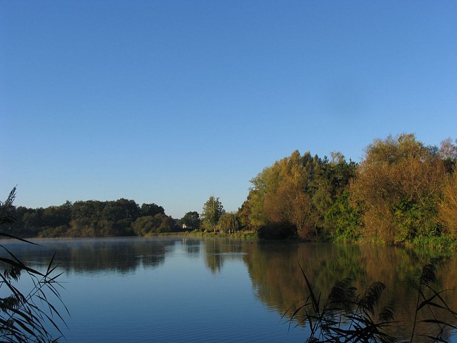 étang de la Ville