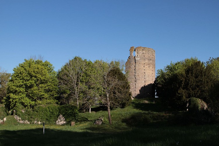Chateau féodal de Fréteval
