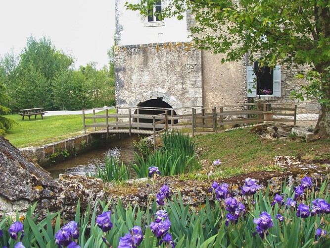 Le-Moulin-d-Arivay-au-printemps-Fosse