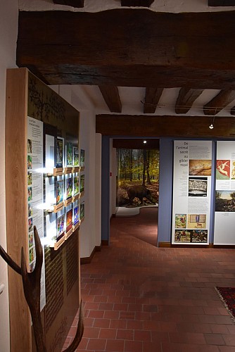 Visite de la Maison du Cerf