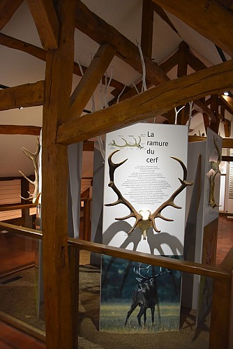 Exposition Maison du Cerf