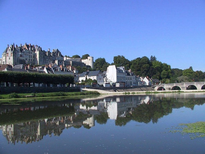 (10)vue-ville-et-chateau-de-st-aignan©CDT41