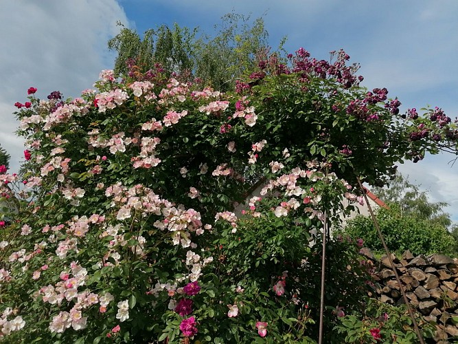 JeanneDeChedigny23-5-2024