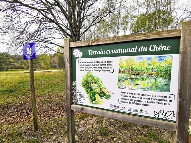 sologne-pruniers-sentier-mares-ens-balade-nature