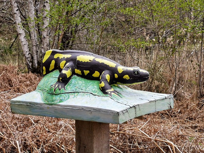 sologne-pruniers-sentier-mares-ens-balade-nature-pedagosique-tourisme-handicap