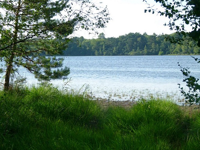 etang_des_levrys_nouan_4