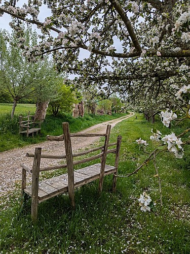 Chemin-des-Trognes-Maison-Botanique-Boursay©