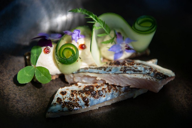 entrée filet de maquereau au mirin