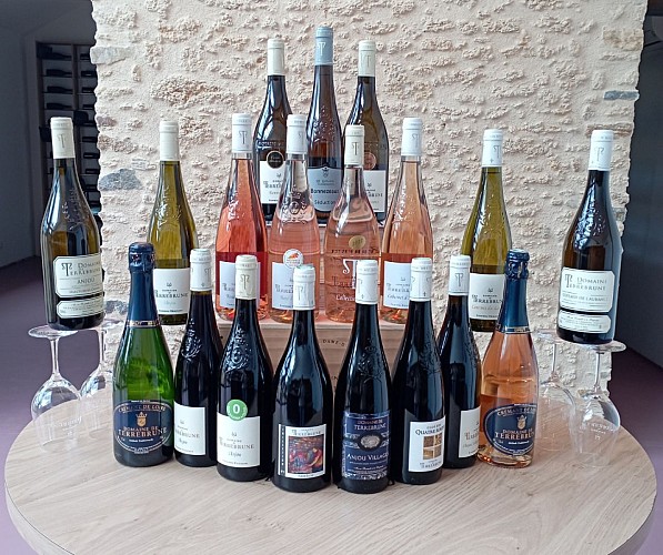 DOMAINE DE TERREBRUNE