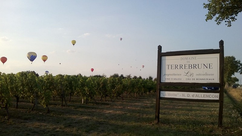 DOMAINE DE TERREBRUNE