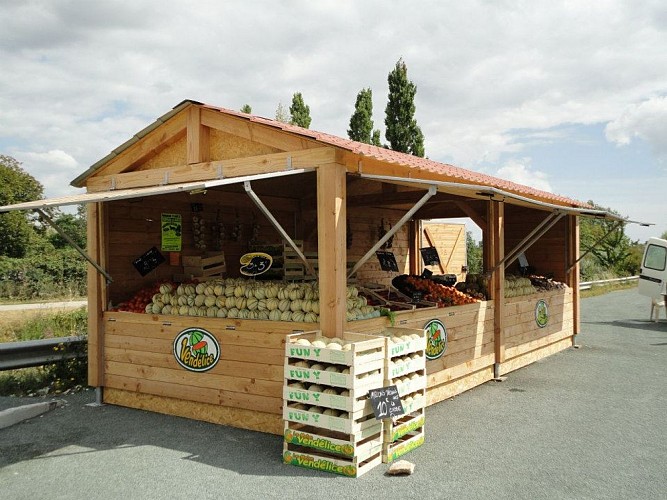 Maraîchage, Melons Vendélice - Puyravault